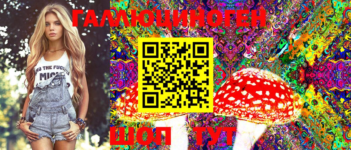 Галлюциногенные грибы MAGIC MUSHROOMS Гусиноозёрск